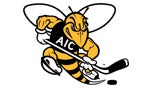 AIC thumbail.jpg