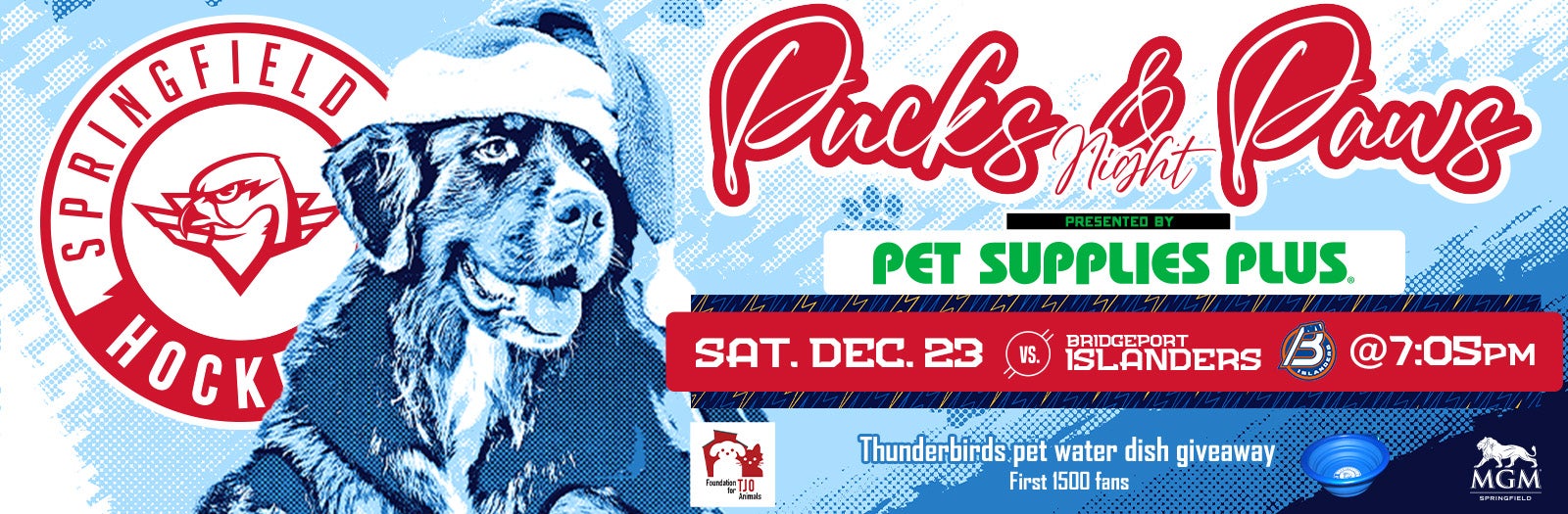 Springfield Thunderbirds vs Bridgeport Islanders