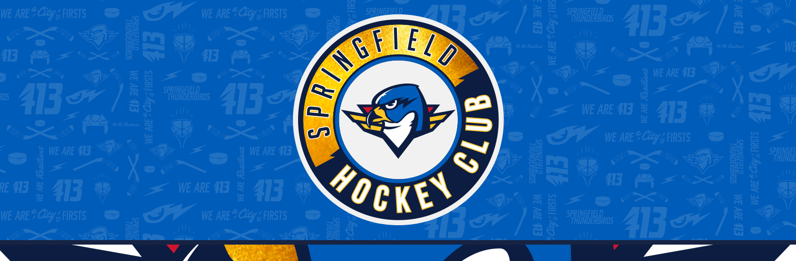 Springfield Thunderbirds vs Charlotte Checkers