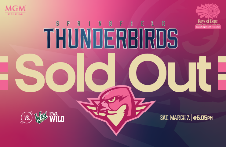 More Info for Springfield Thunderbirds vs. Iowa Wild