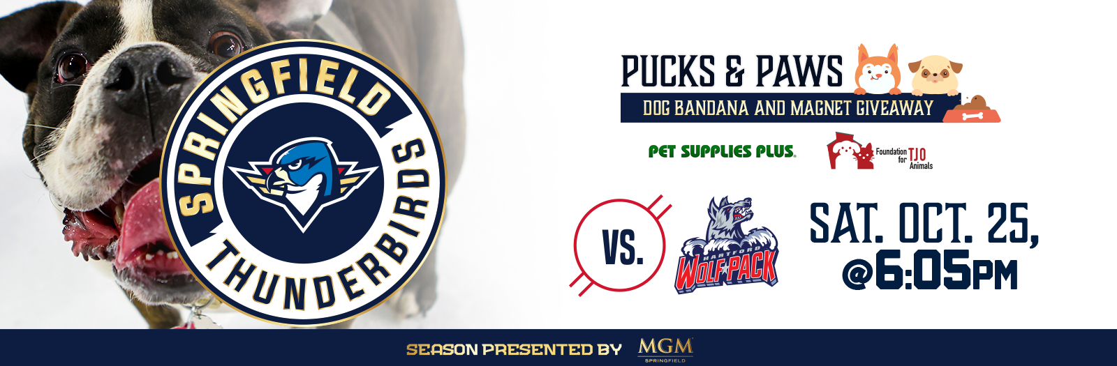 Springfield Thunderbirds vs. Hartford Wolf Pack