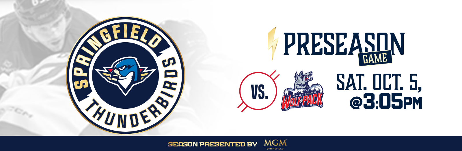 Springfield Thunderbirds vs. Providence Bruins