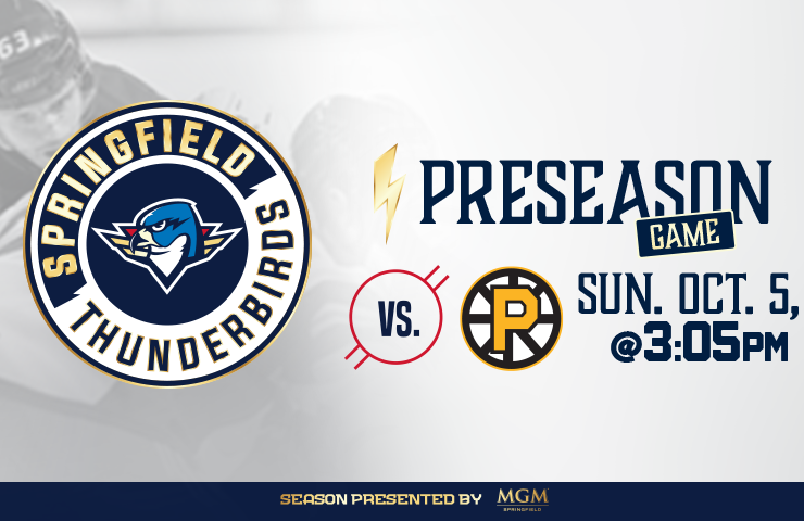 More Info for Springfield Thunderbirds vs. Providence Bruins