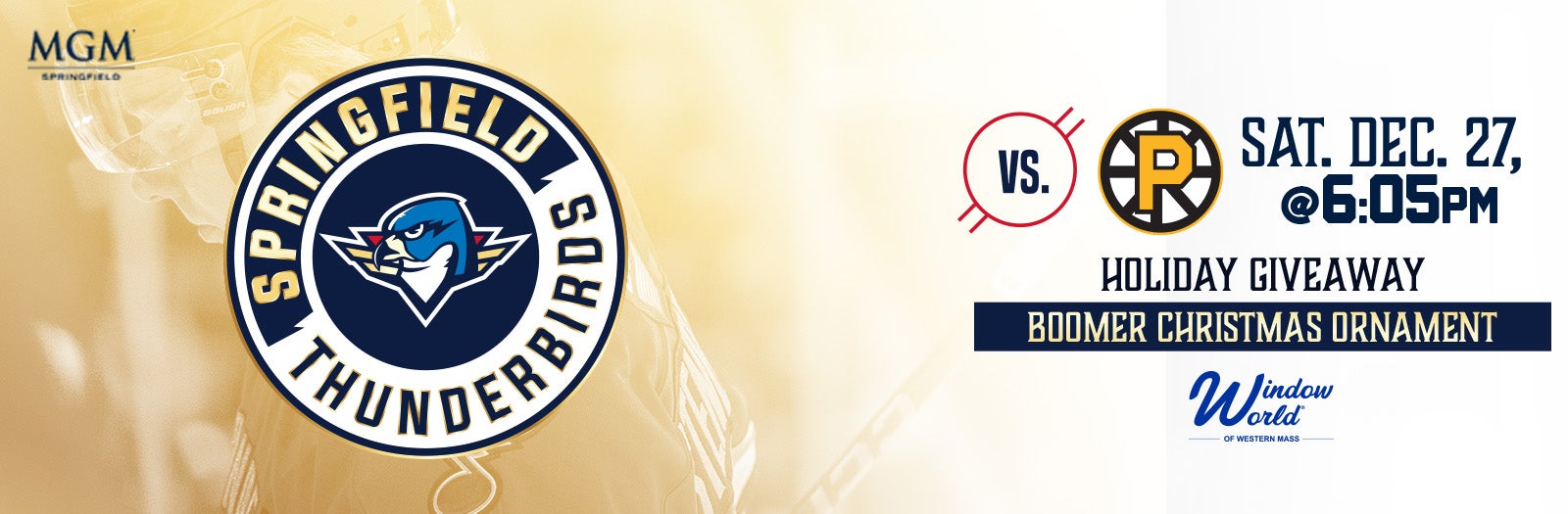 Springfield Thunderbirds vs. Providence Bruins