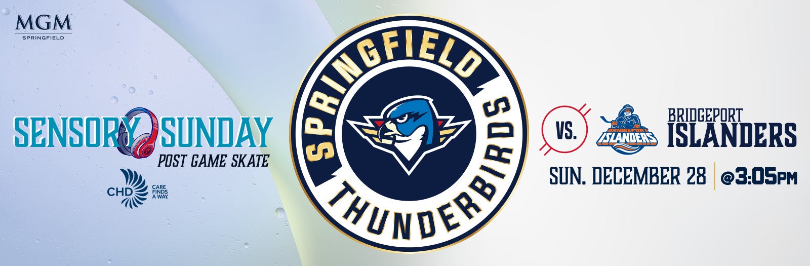 Springfield Thunderbirds vs. Bridgeport Islanders