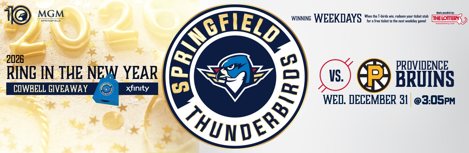 Springfield Thunderbirds vs. Providence Bruins