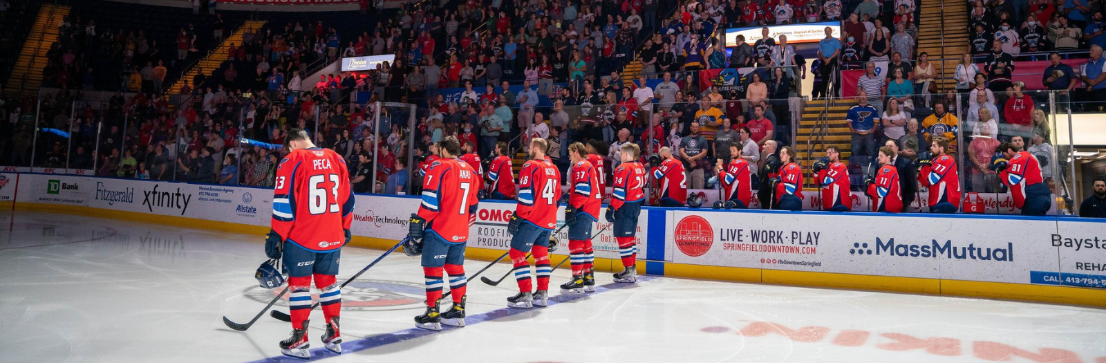 Springfield Thunderbirds: Pink the Rink- supported by Palmer DVTF