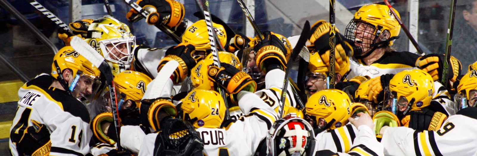 AIC Men's Hockey vs. Holy Cross