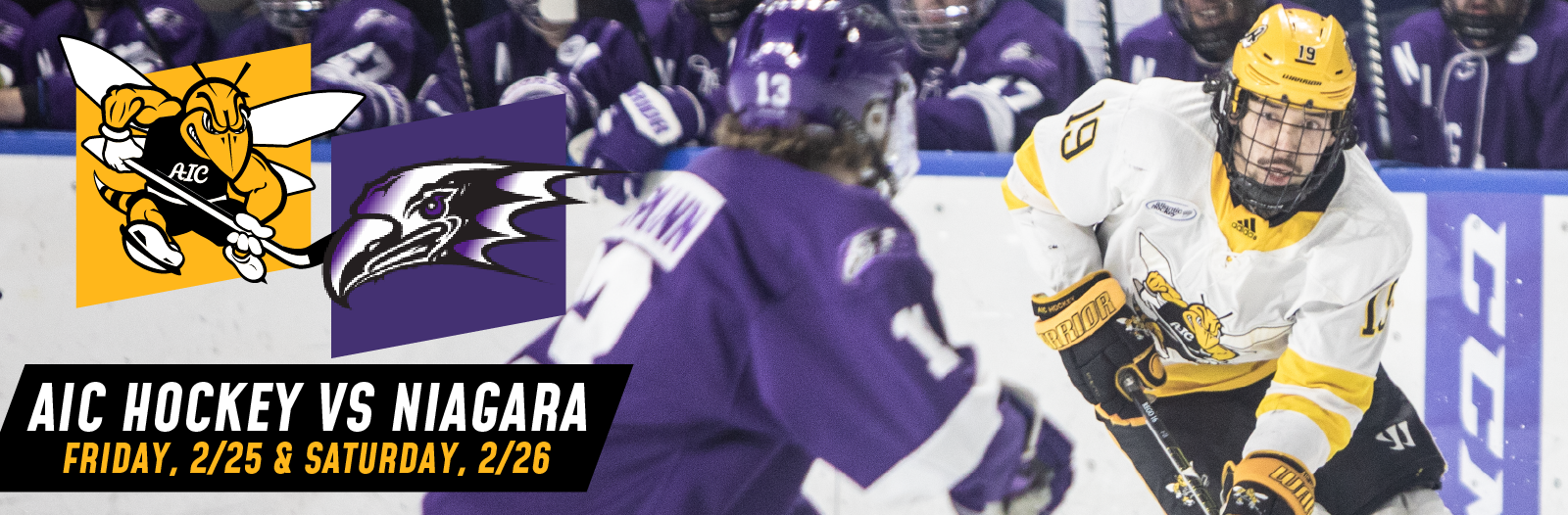 AIC Men's Hockey vs. Niagara University