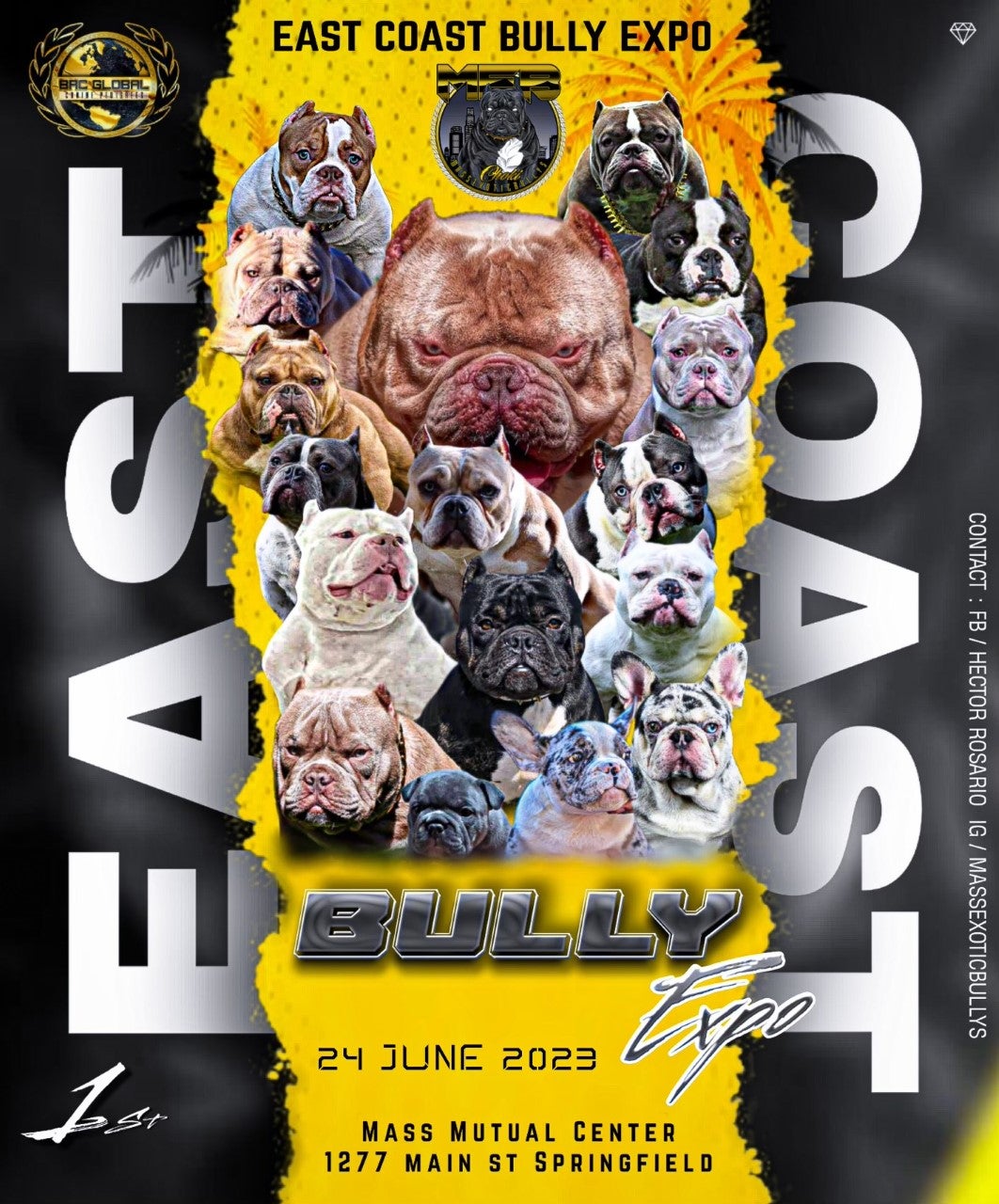 East Coast Bully Expo