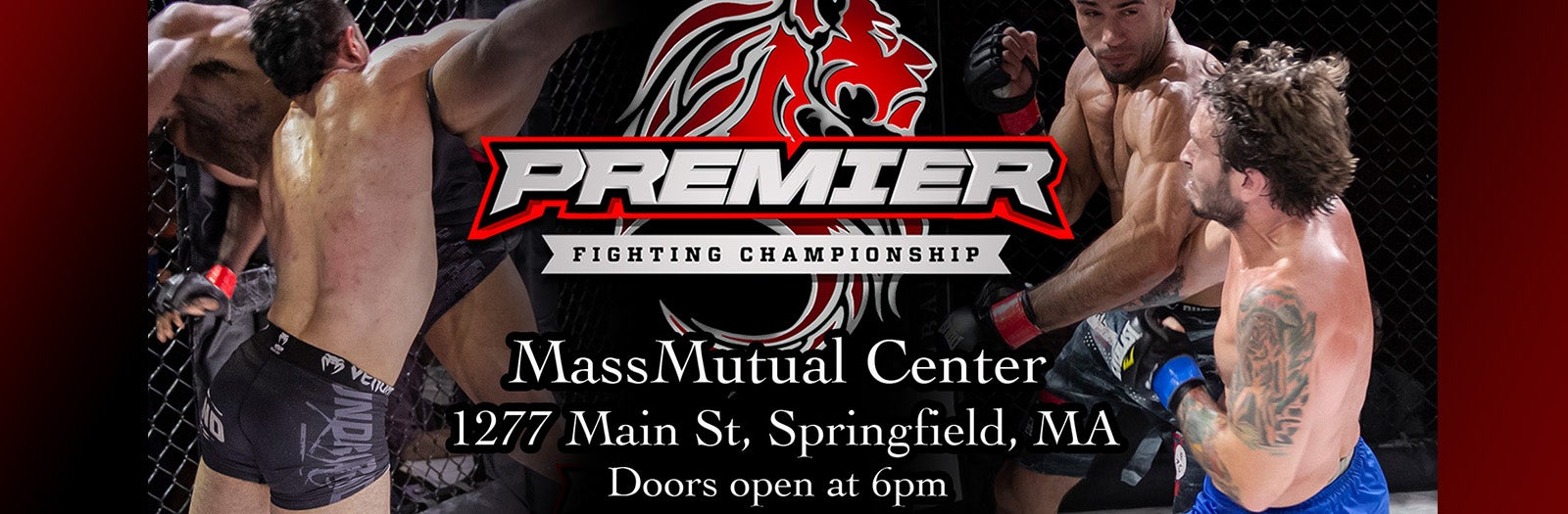 Premier Fighting Championship