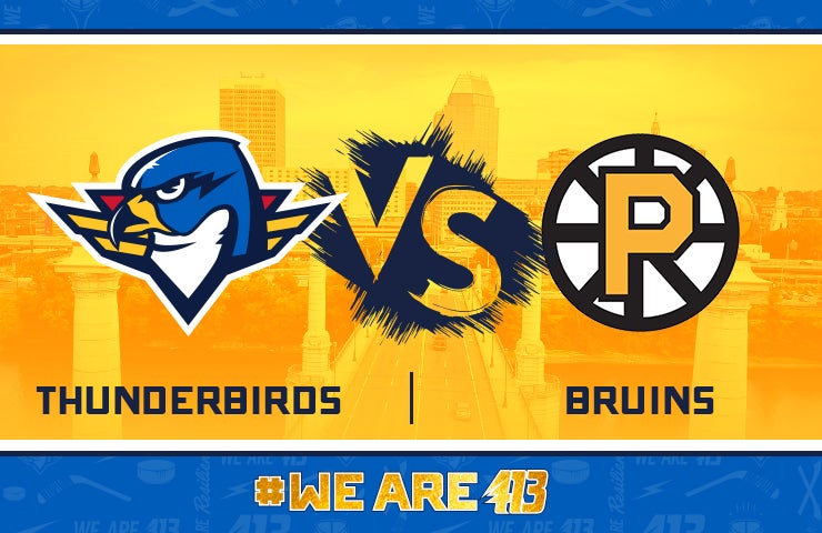More Info for Springfield Thunderbirds vs Providence Bruins