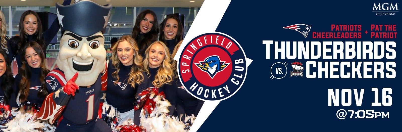 Springfield Thunderbirds vs. Charlotte Checkers