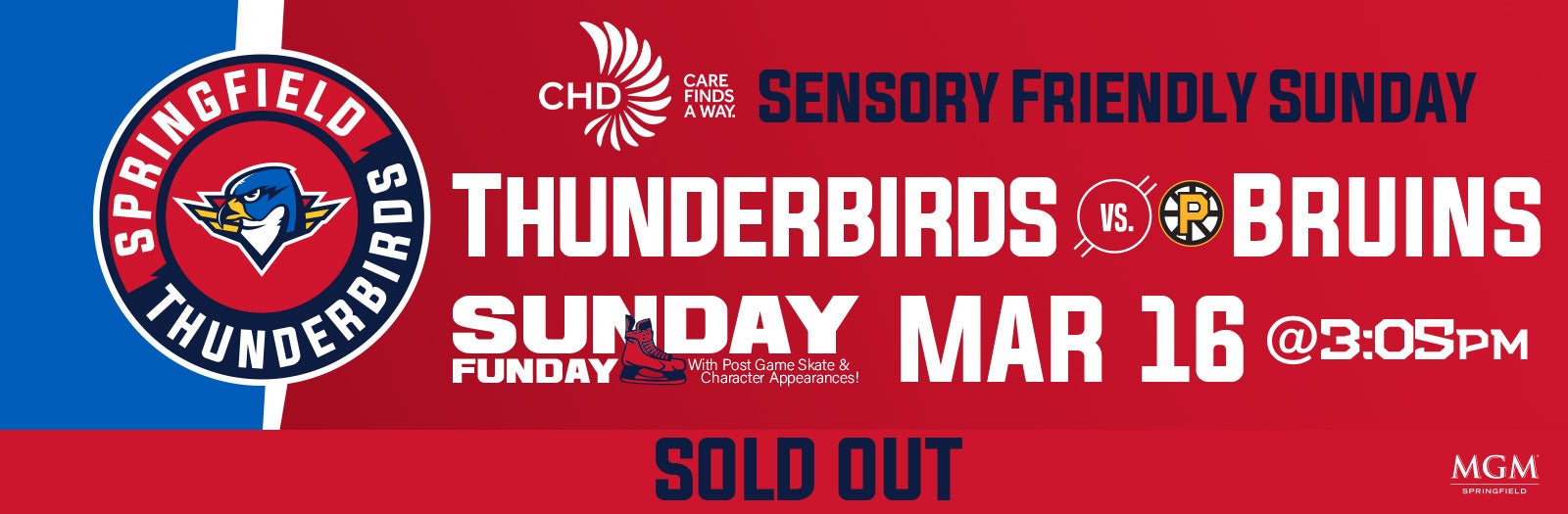Springfield Thunderbirds vs. Providence Bruins