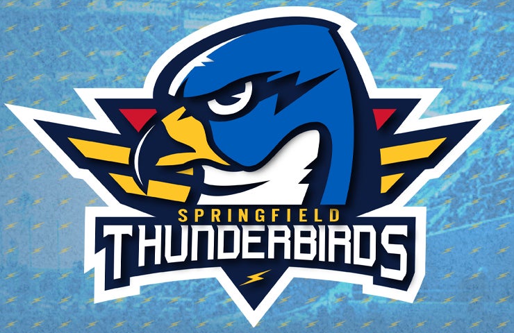 More Info for THUNDERBIRDS ANNOUNCE VOLUNTARY SUSPENSION FOR 2020-21 AHL SEASON