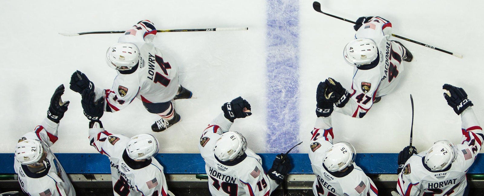 Springfield Falcons Seating Chart