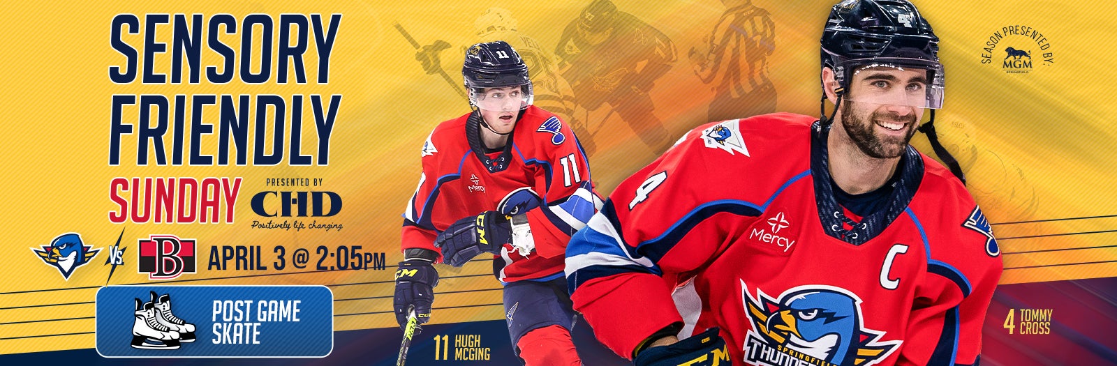 Springfield Thunderbirds vs Belville Senators