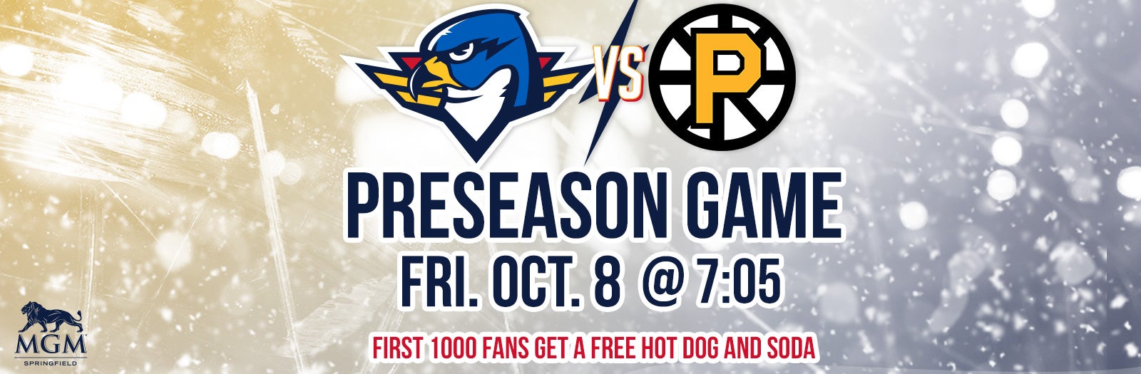 Springfield Thunderbirds vs Providence Bruins