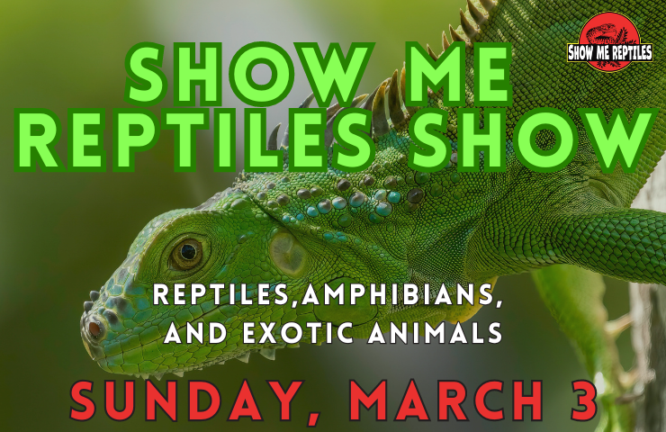 More Info for Show Me Reptiles